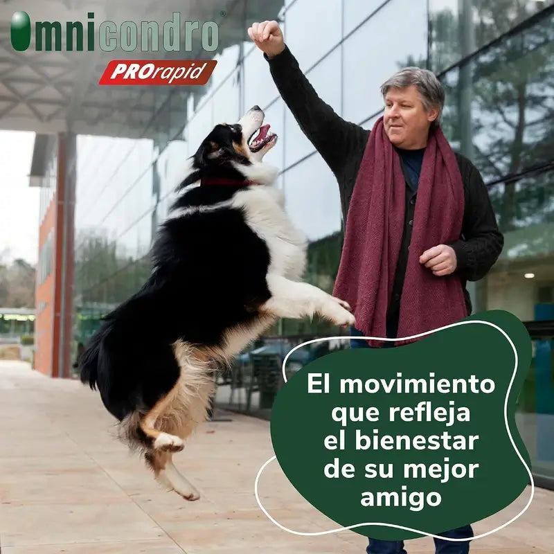 Omnicondro Prorapid, Boîte 2 x 60 Comprimés