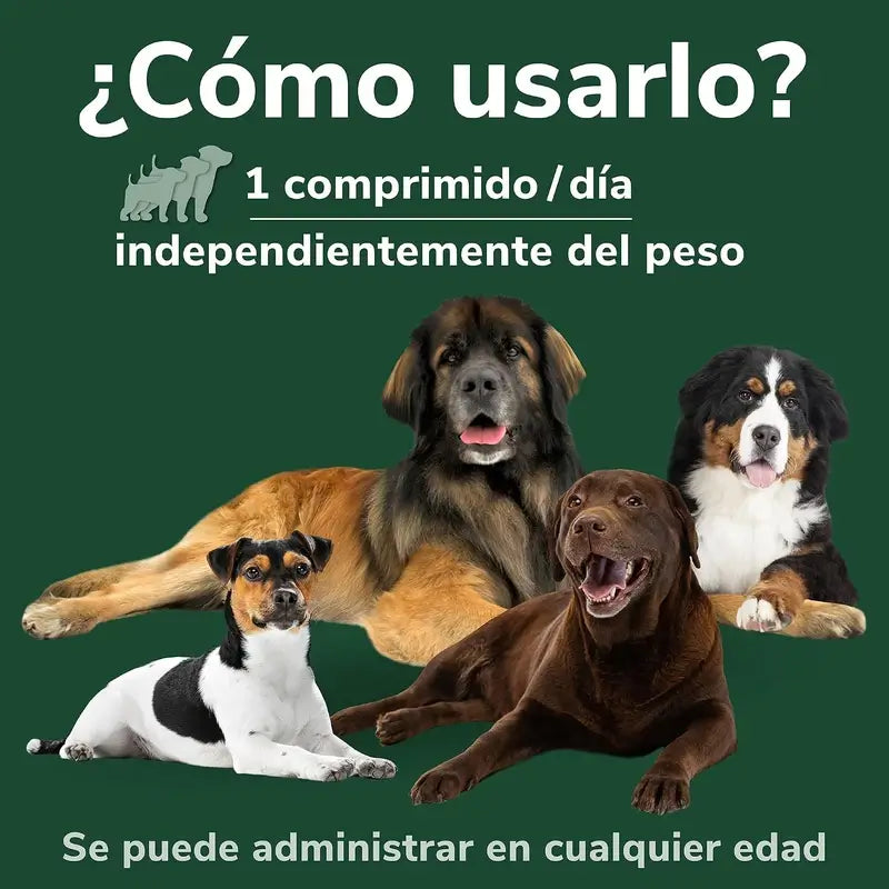 Omnicondro Prorapid, Boîte 2 x 60 Comprimés