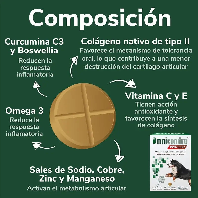 Omnicondro Prorapid, Boîte 2 x 60 Comprimés