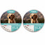 Pack Togo Anti-Parasite Repellent Collar For Dogs All Sizes