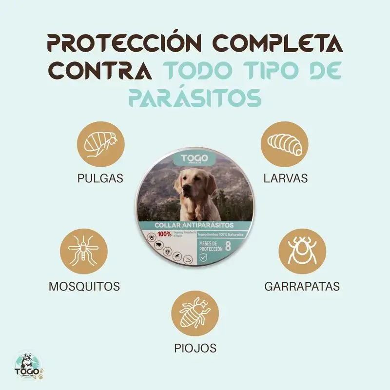 Pack Togo Collier répulsif antiparasitaire pour chiens de toutes tailles