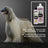 Petuxe Two-Phase Conditioner, Tous types de cheveux 300 Ml