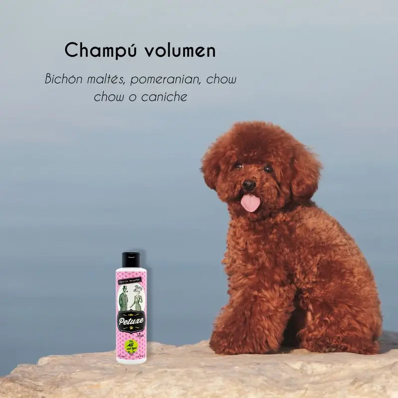 Petuxe Special Volume Shampooing 200 Ml