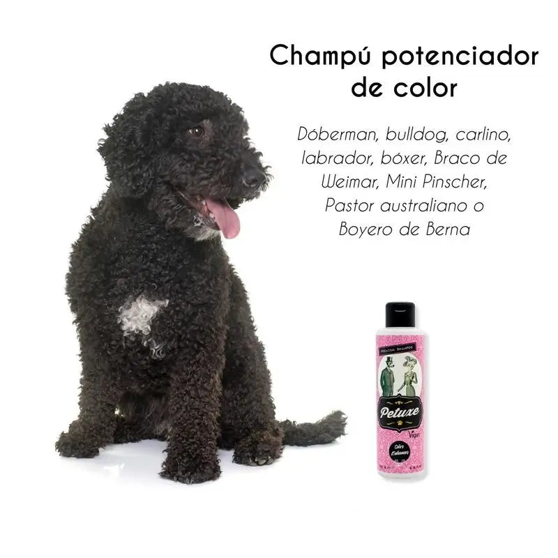 Petuxe Shampooing raviveur de couleur (cheveux noirs et foncés) 200 ml