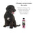 Petuxe Colour Booster Shampooing (cheveux noirs et foncés) 500 ml
