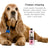 Shampooing décapant Petuxe 500 ml