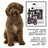 Petuxe Shampooing spécial texturant pour chiens d'eau 500 ml