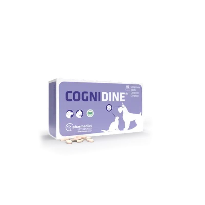 Cognidine, 60 Comprimés
