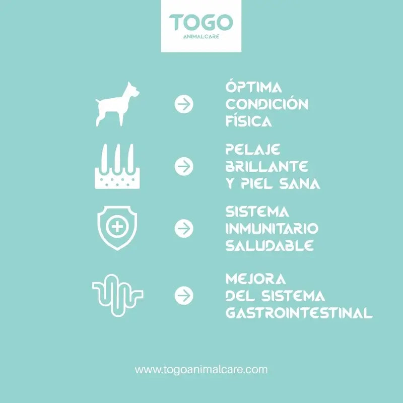 Togo Hypoallergenic Croquettes pour chien végétaliennes hypoallergéniques, 4 kg