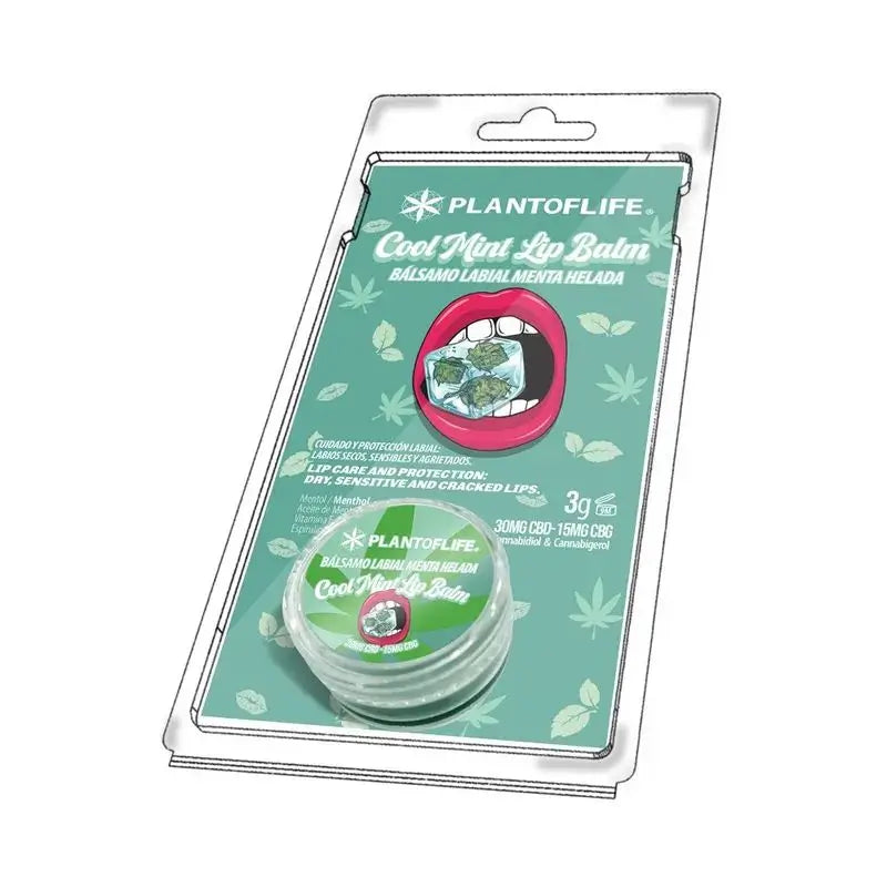Plant Of Life Lipbalm Peppermint Ice 1% CBD - 0.5% Cbg , 3 g