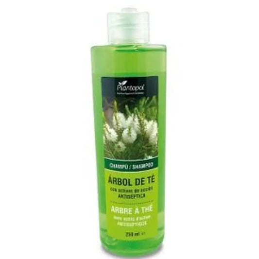 Plantapol Tea Tree Shampoo 250Ml.