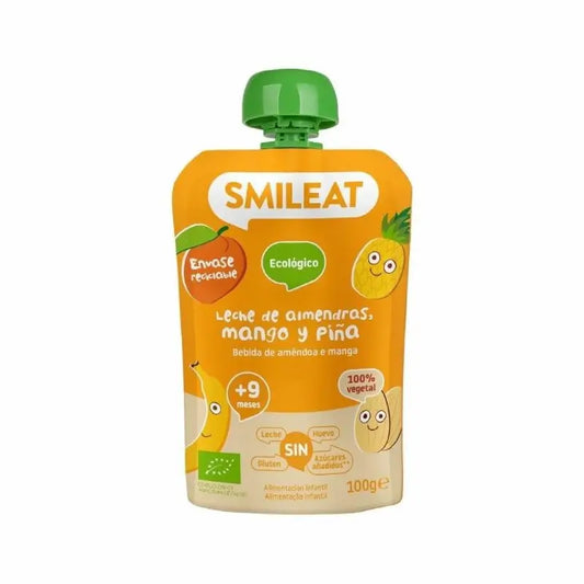 Pouch Almond, mango and pineapple 100 g ECO