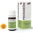 Pranarom Oils Huile Essentielle Immortelle Jaune Bio 5Ml.