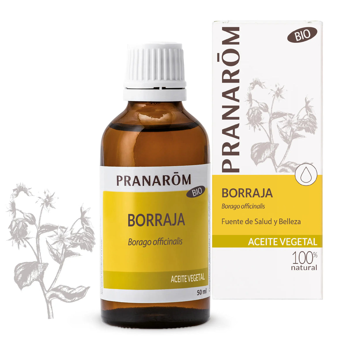 Pranarom Borage Vegetable Oil, 50ml