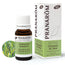 Pranarom Citronella Java Essential Oil Bio, 10ml