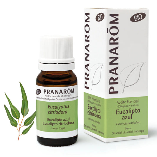 Pranarom Essential Oil Organic Blue Eucalyptus Muscles and Joints 100% Pure & Natural , 10 ml