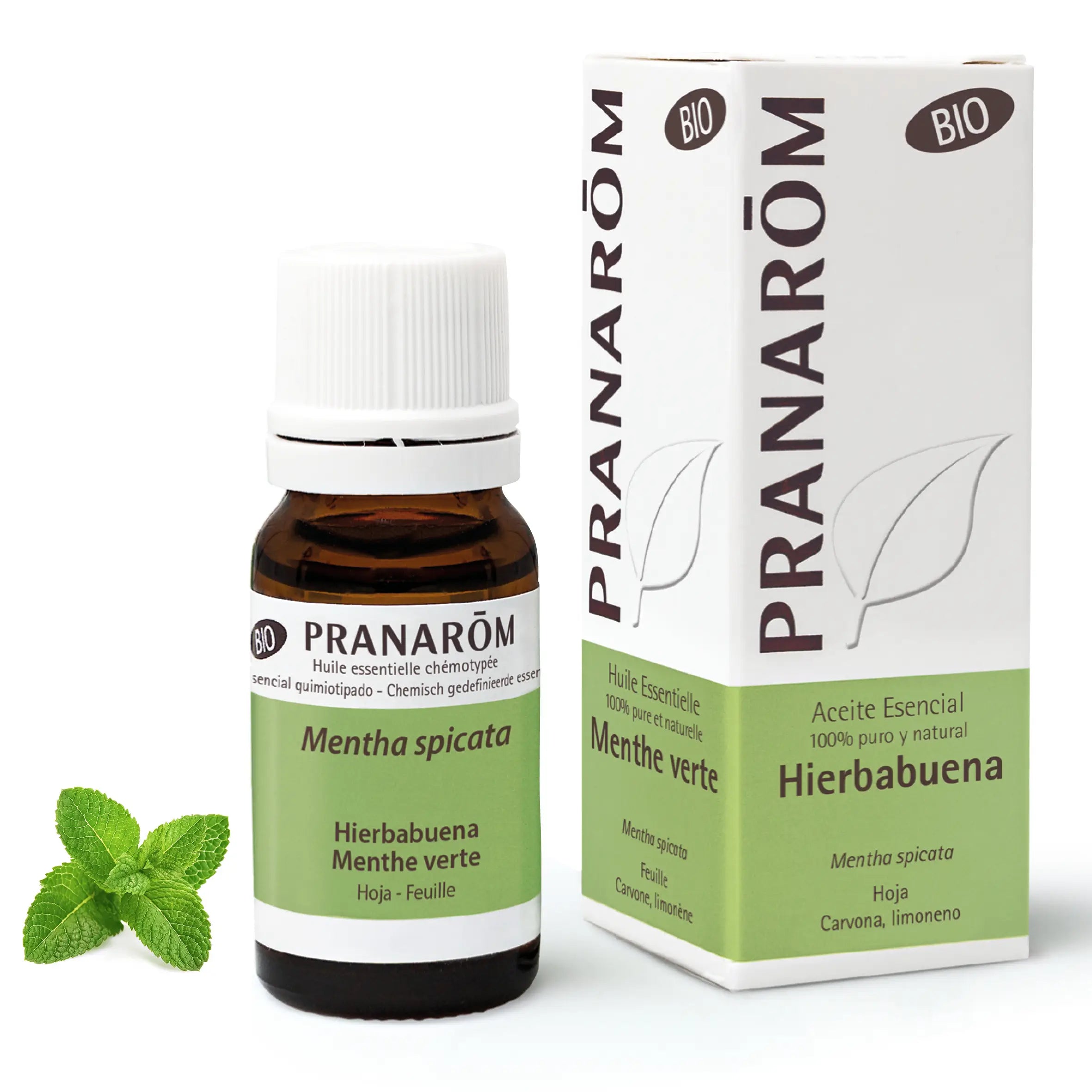 Pranarom Peppermint Essential Oil, 10ml