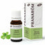 Pranarôm Menta Piperita BIO,10 ml