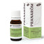 Pranarom Essential Oil Myrtle, 10ml