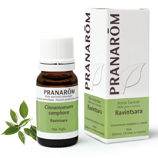 Pranarom Ravintsara Essential Oil, 10ml