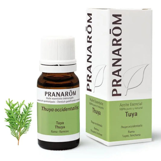 Pranarom Huile Essentielle Tuya, 10ml