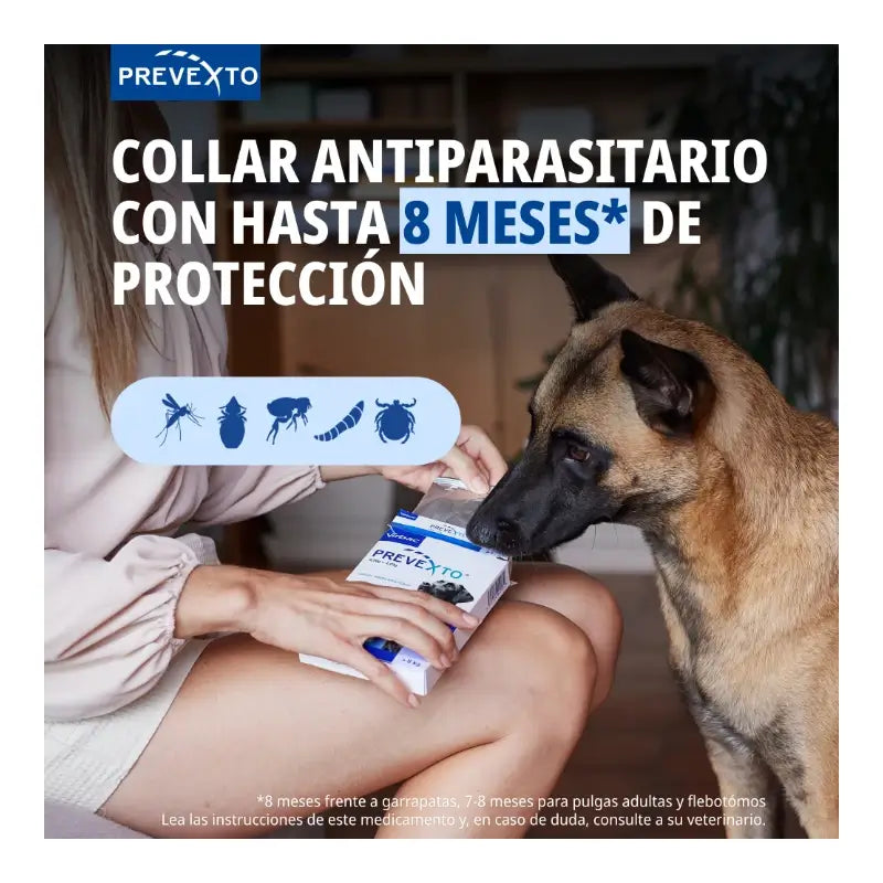 Collier antiparasitaire Prevexto pour chiens de plus de 8 kg, 70 cm