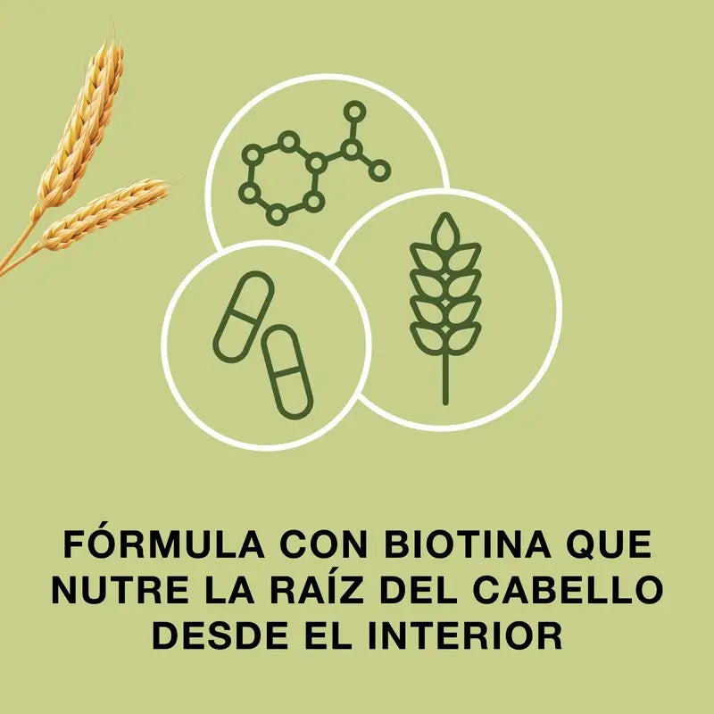 Priorin Hair Health 60 gélules