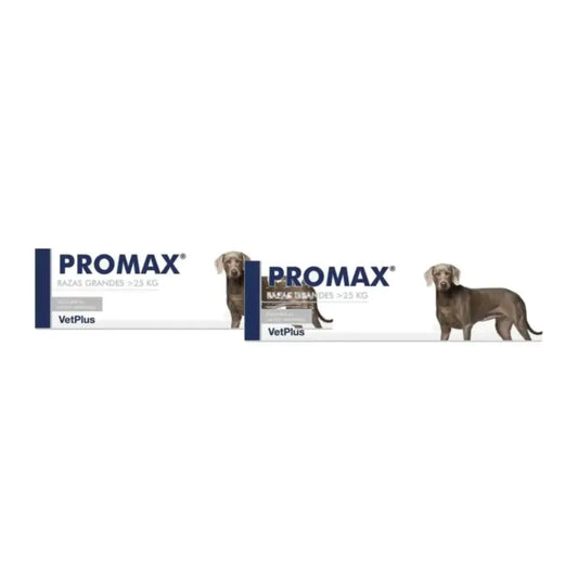 Promax Pack 2 x 30 ml, complément alimentaire antidiarrhéique pour chiens de grande race