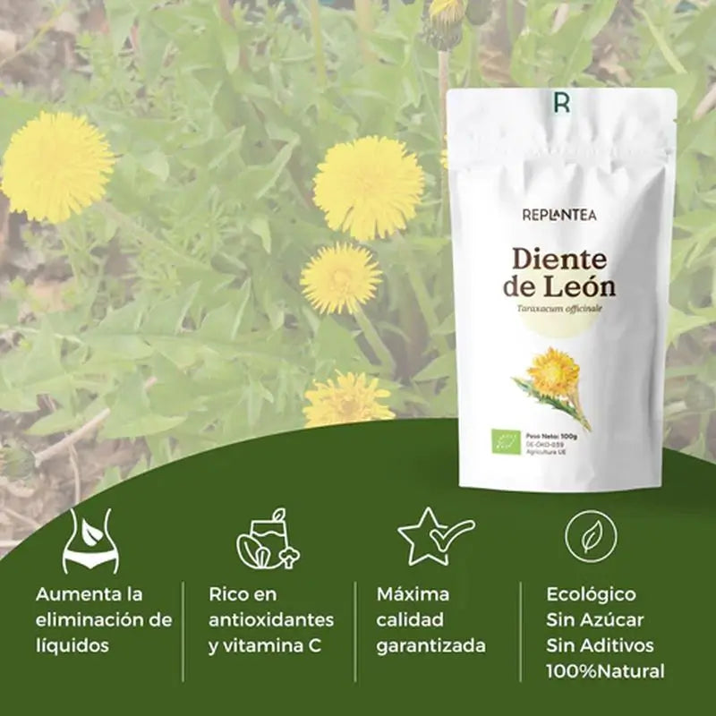 Replant Pissenlit Bio, 100 g