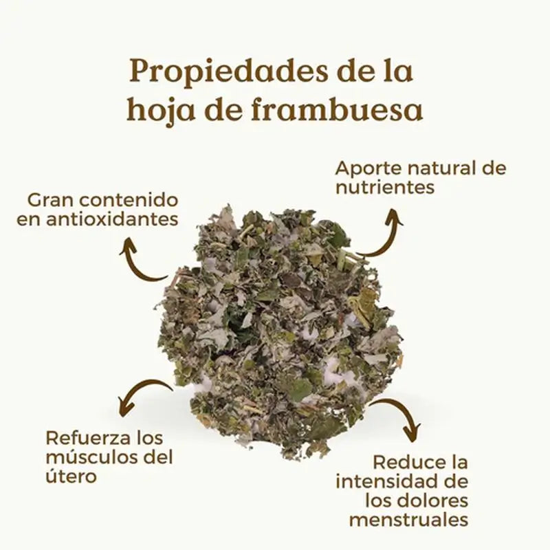 Replantea Feuille de Framboisier Bio, 100g
