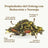 Replantea Thé bleu Oolong à l'orange et à la pêche, 100 g