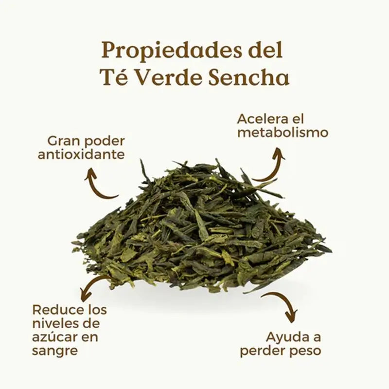 Replantea Thé vert Sencha biologique, 100 g