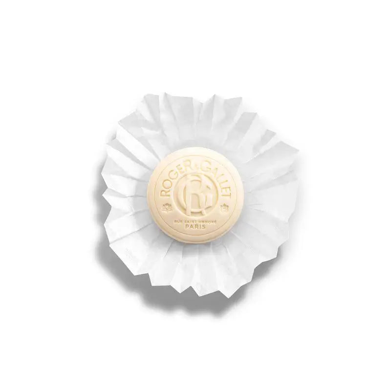 Roger & Gallet Jean Marie Farina Coffre à savon pour les mains, 300 gr