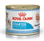 Royal Canin Starter Mother Babydog Boxed 12X195Gr, wet dog food