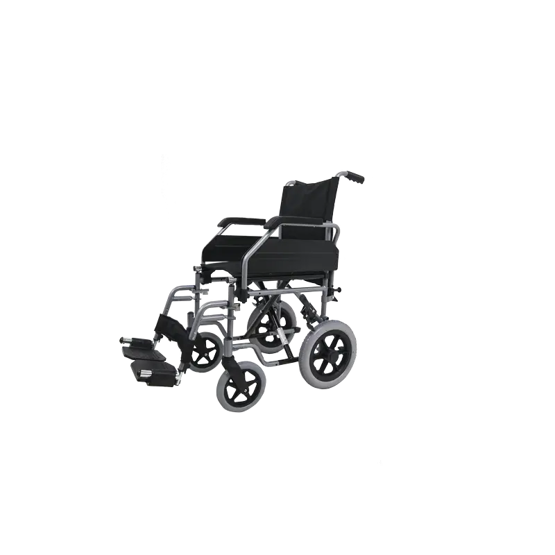 Sanitec Lightweight Steel Chair Stela Wheel Small Wheel 300Mm Non Self-Propelled Size 46 , 1 unité