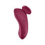 Satisfyer Vibrator Sexy Secret Panty