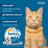 Collier pour chat Seresto Pack 2 unités
