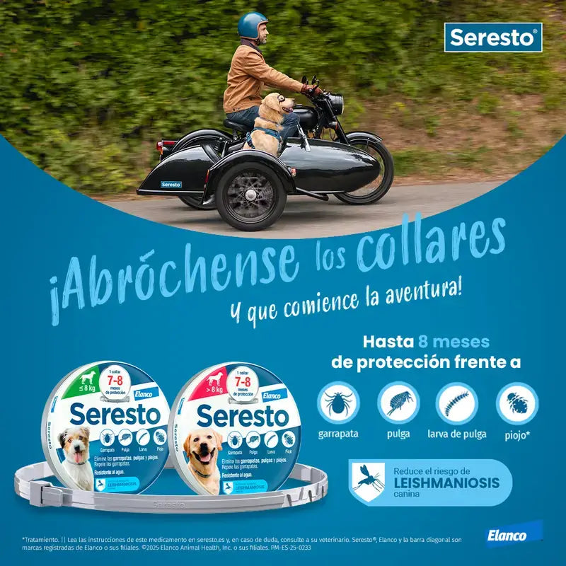 Seresto Collier pour chien +8Kg Large Pack 2 unités