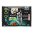 Sheba Kitten Pouch Mix Pour Chats 13X4X85Gr