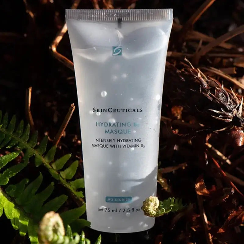 SkinCeuticals Hydrating B5 Masque 75 ml