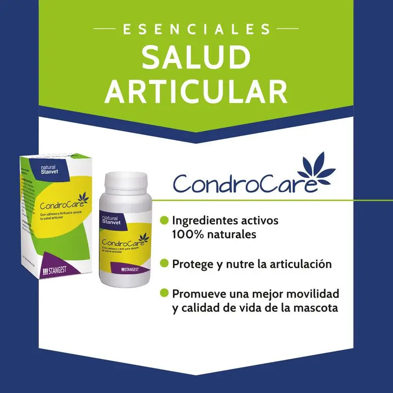 Stangest Chondrocare 30 Comprimés