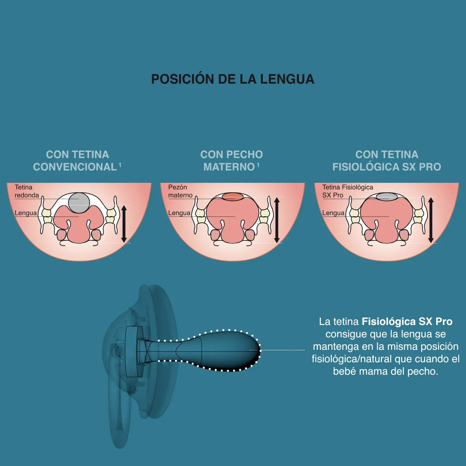 Suavinex Pack 2 Sucettes Physiological Sx Pro Jungle Pink 18+M