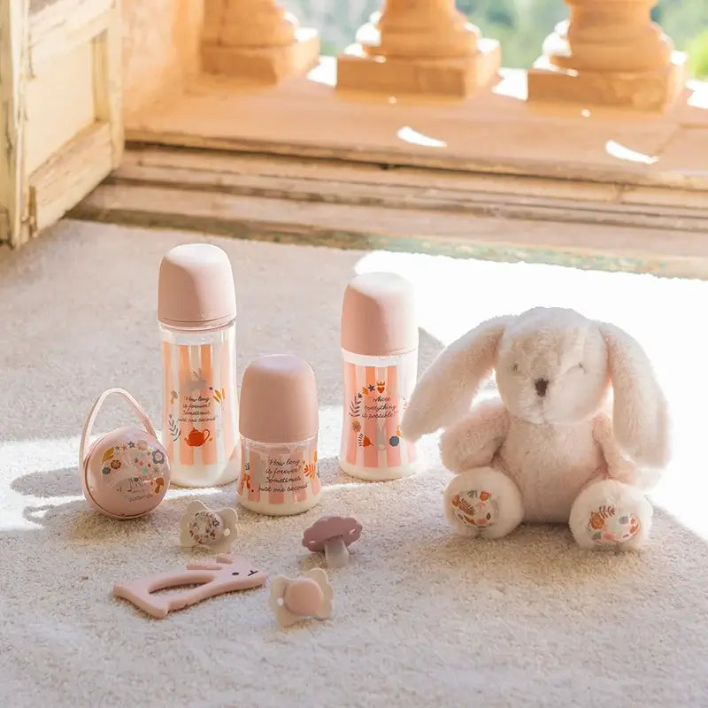 Suavinex Cadeau pour nouveau-né Sucette + Tétine + Porte-tétine + Jouet de dentition + Jouet de dentition.Wonderland, Rose
