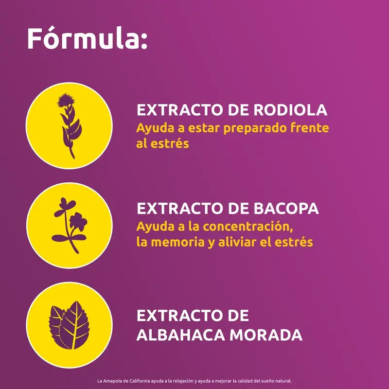 Supradyn Anti Stress Concentration et Mémoire, 30 Comprimés