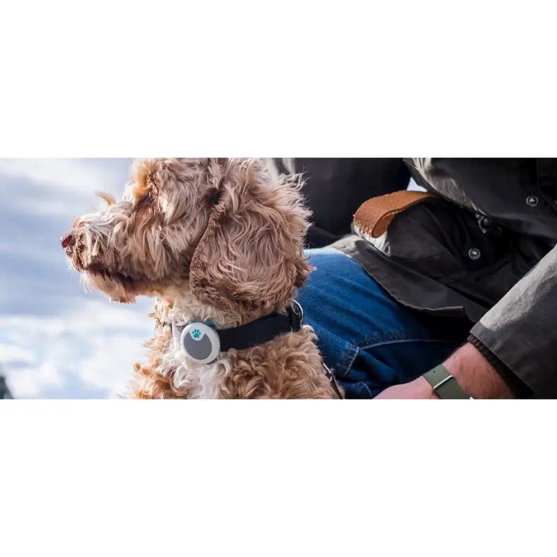 Sure PetCare Animo - Moniteur de comportement et d'activité pour chiens.