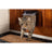 Sure PetCare SureFlap - Chatière marron avec puce électronique