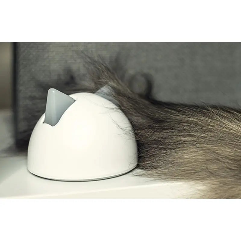 Sure PetCare SureFlap- Porte pour animaux de compagnie avec puce électronique Connect + Hub