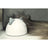 Sure PetCare SureFlap- Porte pour animaux de compagnie avec puce électronique Connect + Hub