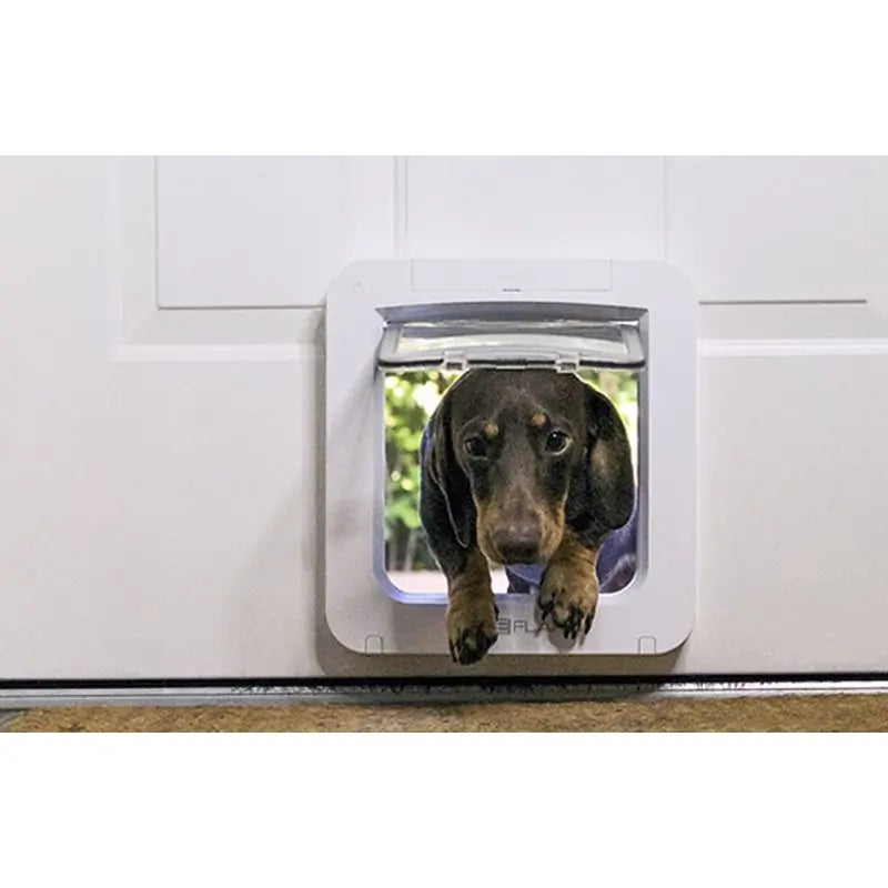 Sure PetCare SureFlap- Porte pour animaux de compagnie avec puce électronique Connect + Hub