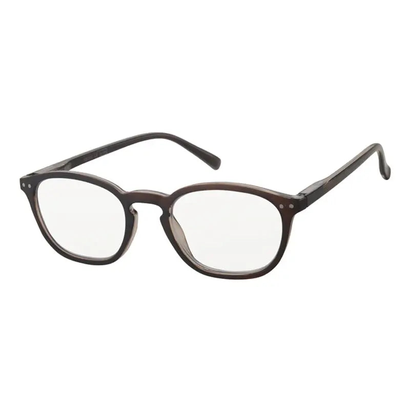 Surgicalmed Euro Optics Halo Presbyopia Reading Glasses (Brown & Silver Decoration) (+1.00) Brown & Silver Decoration, 1 piece